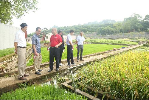 農(nóng)業(yè)農(nóng)村部科技發(fā)展中心調(diào)研祁陽站 聚焦前沿，共促農(nóng)業(yè)技術(shù)創(chuàng)新發(fā)展