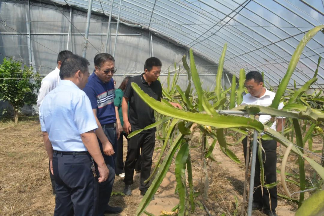 科技賦能巾幗力，助農(nóng)興農(nóng)譜新篇——山東濱州市巾幗科技助農(nóng)興農(nóng)直通車(chē)走進(jìn)陽(yáng)信