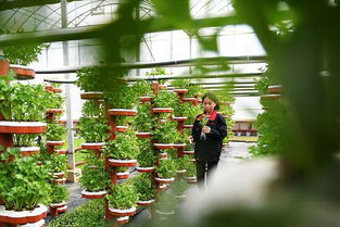 農(nóng)業(yè)產(chǎn)業(yè)周報(bào) 海大、伊利領(lǐng)銜行業(yè)動(dòng)態(tài)，資本聚焦智慧農(nóng)業(yè)與生物技術(shù)